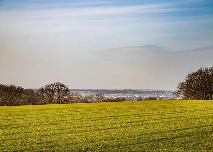 Feriehus Bonte Haan - Natuurhuisje De Stal